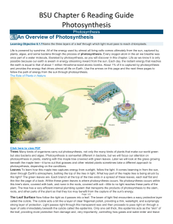 Photosynthesis
