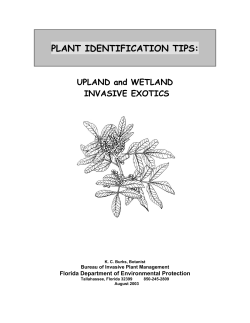 INVASIVE UPLAND PLANTS (All Exotic)