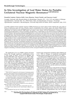 In Situ Investigation of Leaf Water Status by Portable Unilateral