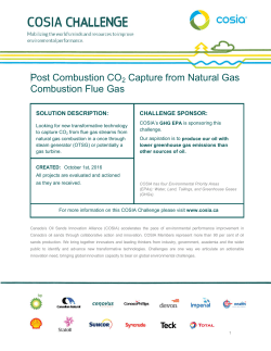 Post Combustion CO2 Capture from Natural Gas Combustion Flue