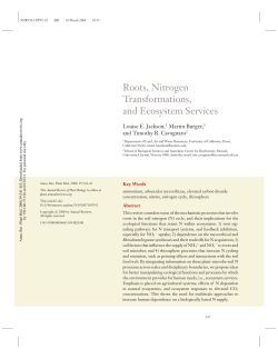 Roots, Nitrogen Transformations, and Ecosystem Services