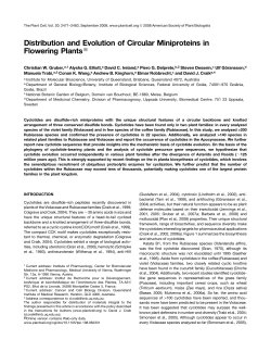 Distribution and Evolution of Circular Miniproteins in