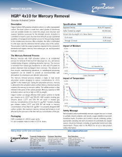 HGR® 4x10 for Mercury Removal