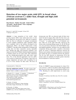 Detection of two major grain yield QTL in bread wheat (Triticum