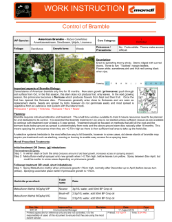 Bramble - Midlands Conservancies Forum