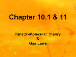 Chapter 10