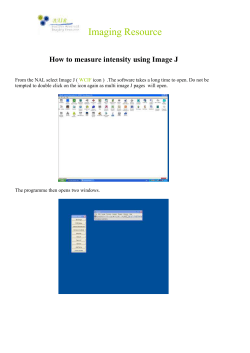 How to measure intensities using Image J