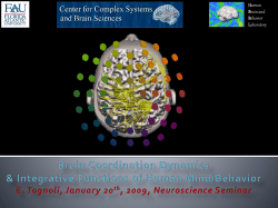 PPTX - Center for Complex Systems and Brain Sciences