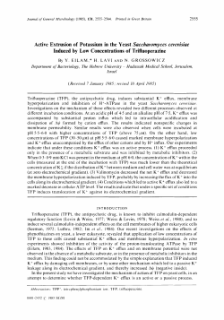 Active Extrusion of Potassium in the Yeast