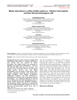 Mitotic aberrations in coffee (Coffea arabica cv. `Catimor`) leaf