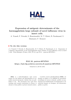 Expression of antigenic determinants of the haemagglutinin large