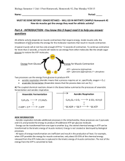 How Biological Organisms Use Energy