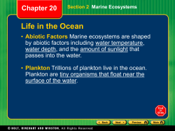 marine biomes teacher