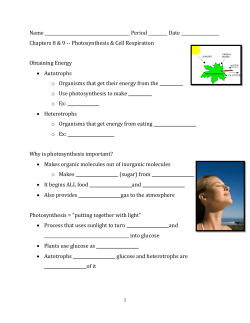 Photosynthesis Cellular Respiration Function