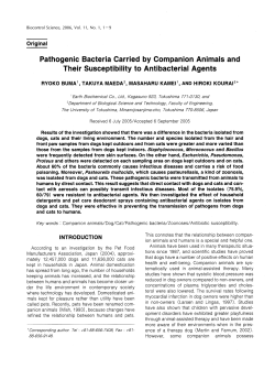 Pathogenic Bacteria Carried by Companion Animals and - J