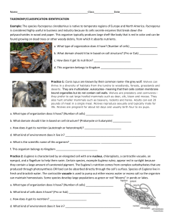 Taxonomy/Classification Wkst