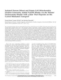 Isolated Durum Wheat and Potato Cell Mitochondria Oxidize