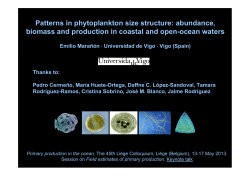 Patterns in phytoplankton size structure: abundance, biomass and