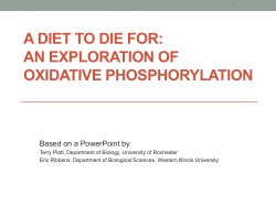 Dieting with Dinitrophenol