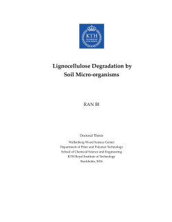 Lignocellulose Degradation by Soil Micro-organisms