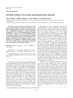 The Role of Plant CCTa in Salt- and Osmotic