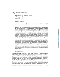 Dog Red Blood Cells Adjustment of salt and water content in vitro