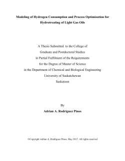 Modeling of Hydrogen Consumption and Process Optimization for