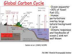 A reminder: our prodigious CO2 production