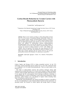 Carbon Dioxide Reduction by Ceramic Carriers with Photosynthetic