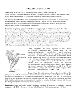 plant diseases and koleroga-arecanut di