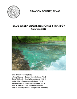 blue-green algae response strategy
