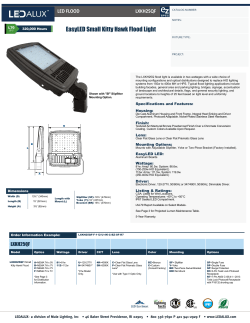 EasyLED Small Kitty Hawk Flood Light