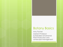 Botany Basics
