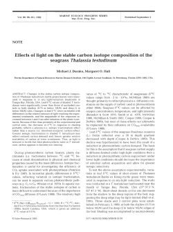 Effects of light on the stable carbon isotope composition of the