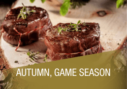 autumn, game season
