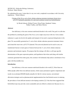 end processing signals and their tissue distribution in Oryza sativa