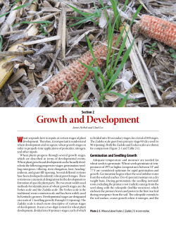 Growth and Development - University of Kentucky