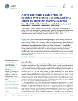 Active and water-soluble form of lipidated Wnt protein is maintained