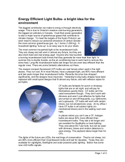 Energy Efficient Light Bulbs- a bright idea for the