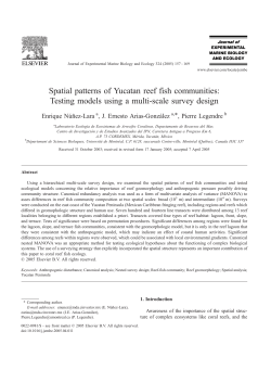 Spatial patterns of Yucatan reef fish communities