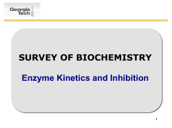 13 - School of Chemistry and Biochemistry