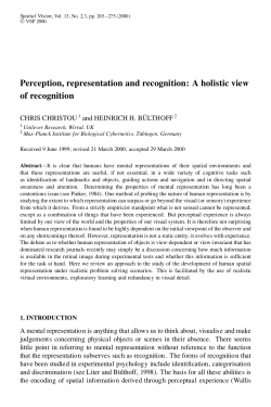 Perception, representation and recognition