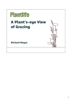 10. A Plant`s Eye View of Grazing - Richard Moyse