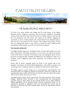 The Earth Trust Nilgiris, India - A Report