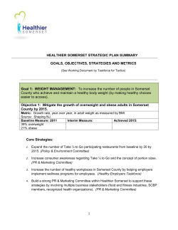 Healthier Somerset Strategic Plan Summary with