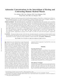 Adenosine Concentrations in the Interstitium of Resting