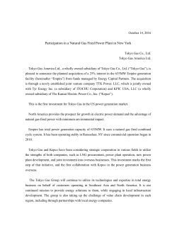 Participation in a Natural Gas Fired Power Plant in New York[PDF