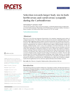 Selection towards larger body size in both herbivorous and