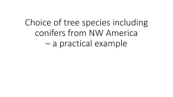 Choice of tree species including conifers from NW America &ndash; a