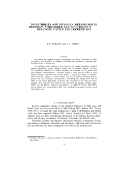 digestibility and nitrogen metabolism in brahman, africander and